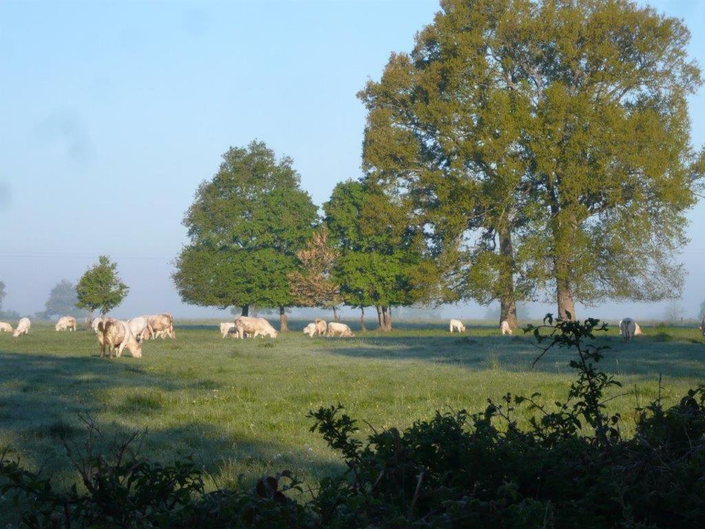 Livry  La Thibaude - Livry B&B 외부 사진
